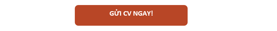 Gửi CV ngay!