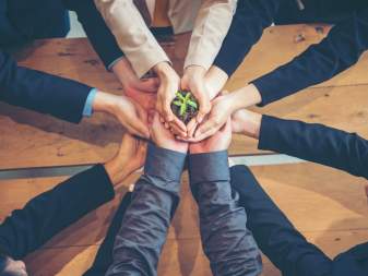 “Greening” Your Bottom-line