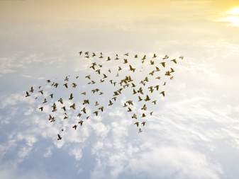 Xu Hướng Thuê Ngoài Nhân Sự 