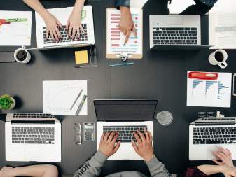 Adaptive Organization - Characteristics and Ways to Construct