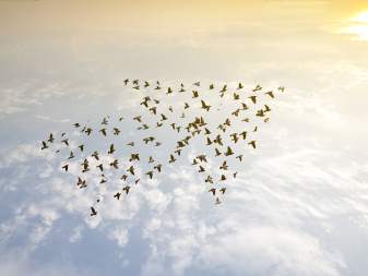 Dịch Vụ Trả Lương Chính Xác (tiếp Theo)