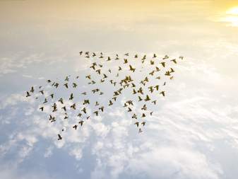 Các bước thành lập công ty ở Việt Nam