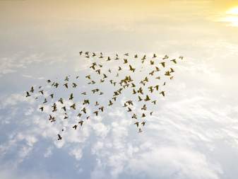 Mercer ký thỏa thuận với TalentNet